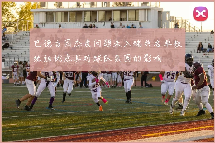 巴德吉因态度问题未入瑞典名单教练组忧虑其对球队氛围的影响
